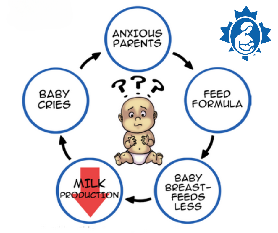 why-do-babies-cry-la-leche-league-canada-breastfeeding-support-and